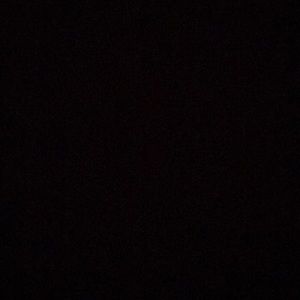 Meet your Posher, Isabella